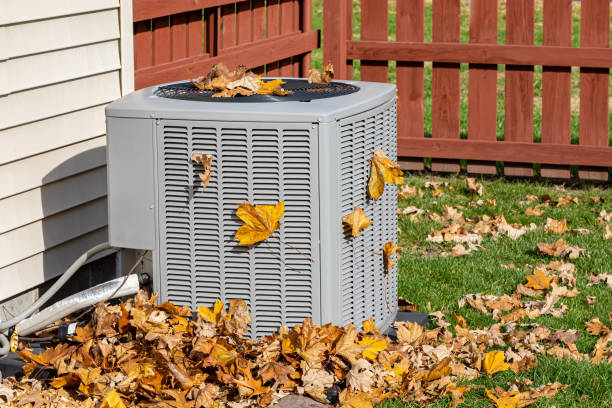 Best Air quality test  in Burke, VA